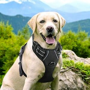 🐾 Rabbitgoo Dog Harness, Large